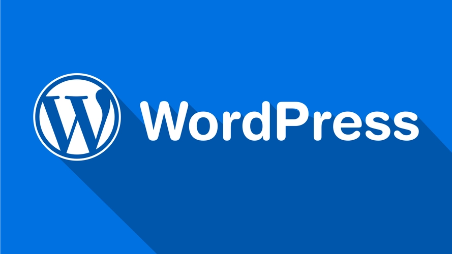 用WordPress建站有源码吗？