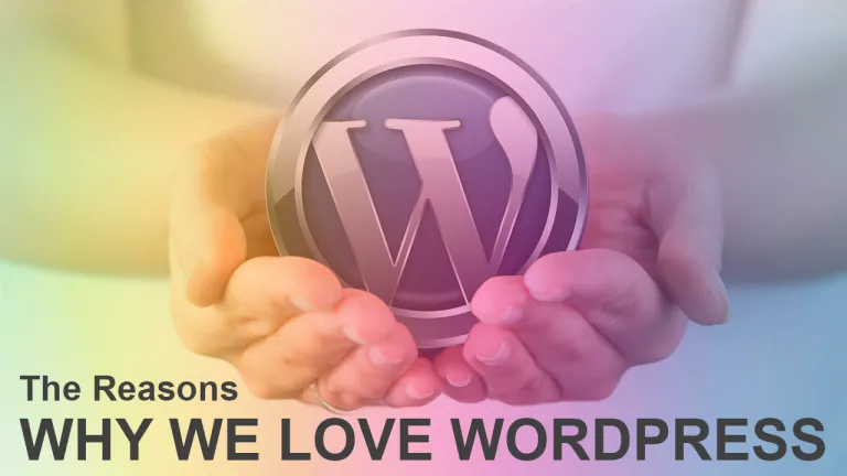 The Reasons Why We Love WordPress