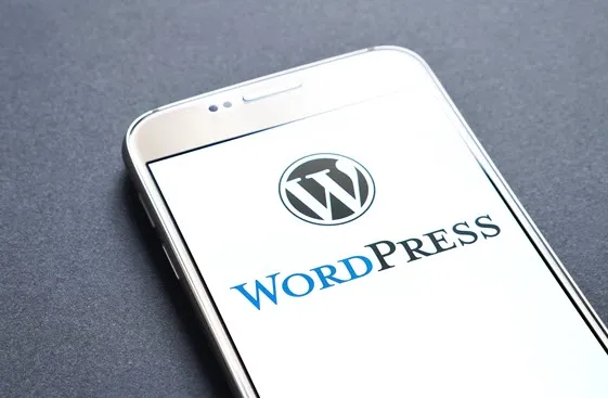 WordPress is low cost to implementation CMS platform