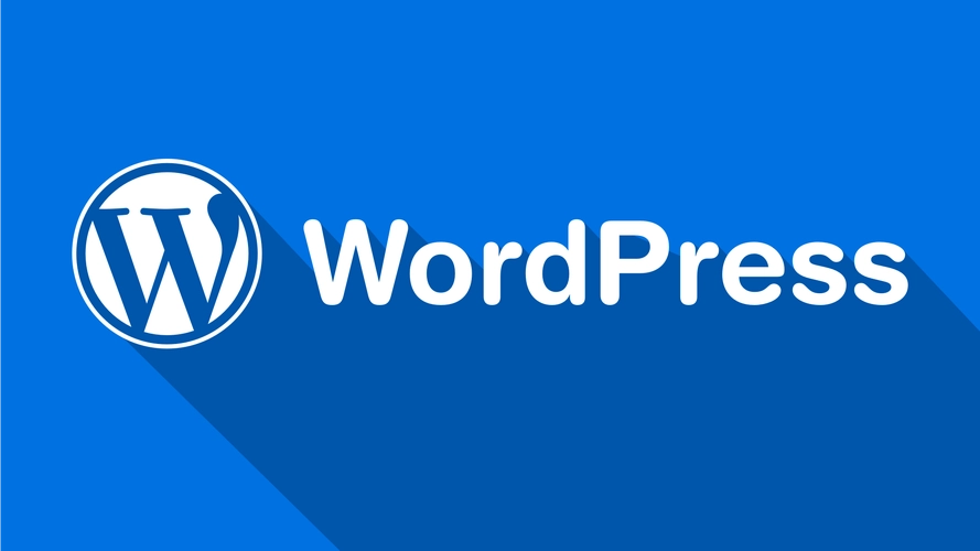  用WordPress建站有源码吗？