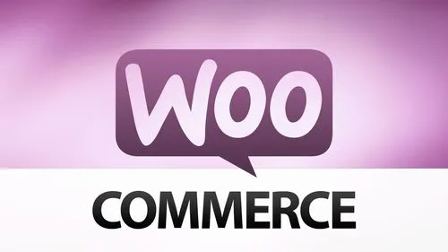 4种重要的WooCommerce网站监控方法