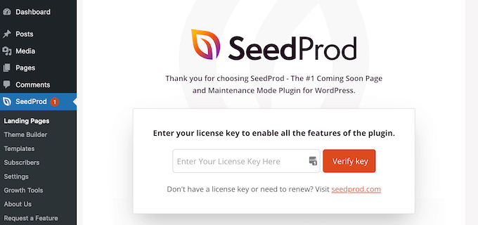 将 SeedProd 许可证密钥添加到您的 WordPress 网站