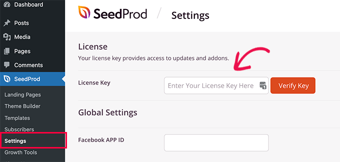 将 SeedProd 许可证密钥添加到 WordPress