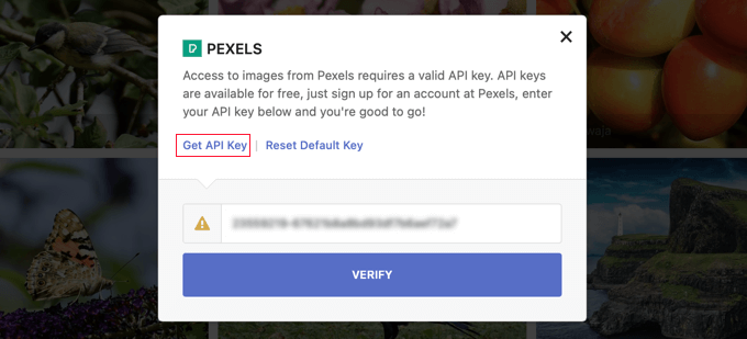 要使用即时图像在 Pexels 中查找图像，您需要一个 API 密钥