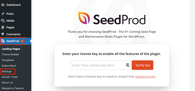 输入您的 SeedProd 许可证