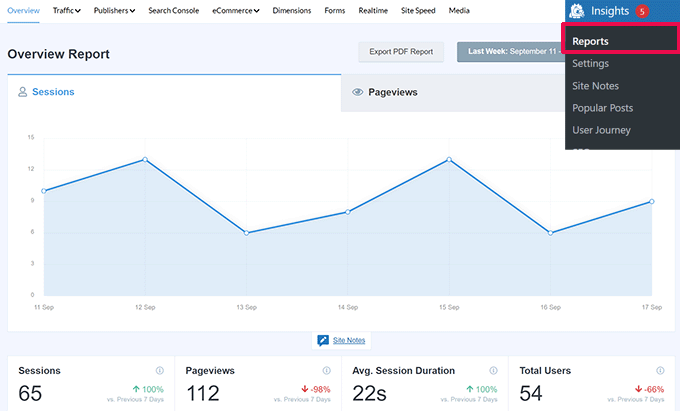 MonsterInsights 报告