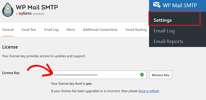 在字段中输入您的WP Mail SMTP许可证密钥