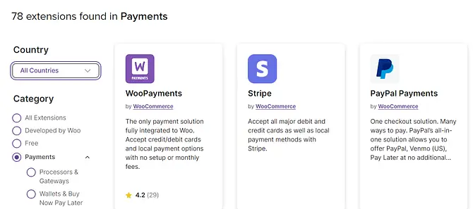 payment extensions