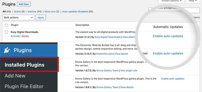 为 WordPress 插件启用自动更新