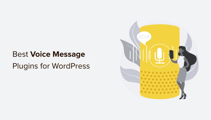 WordPress 的最佳语音消息插件